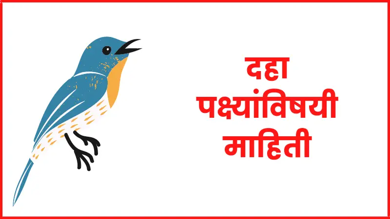 10 birds information in marathi