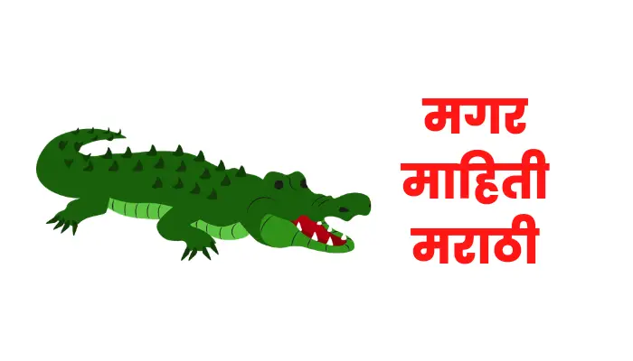 Crocodile information in marathi