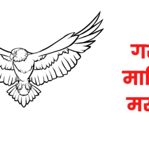 Eagle information in marathi