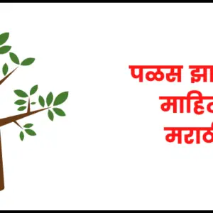 Palash tree information in marathi