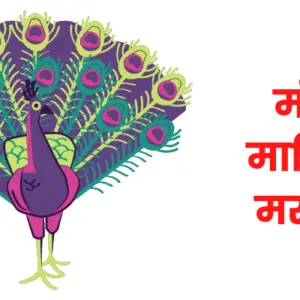 Peacock information in marathi
