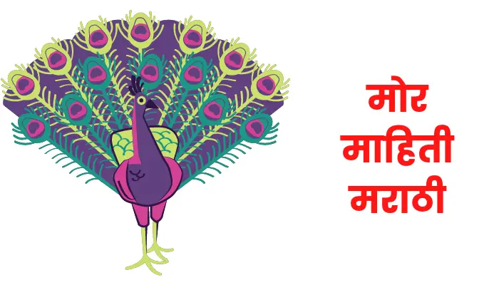Peacock information in marathi