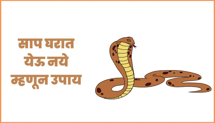 Remedies to prevent snakes from entering the house