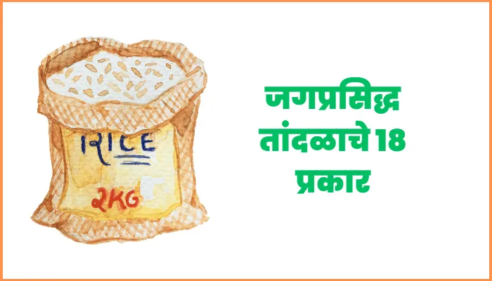 Types of Rice in Marathi