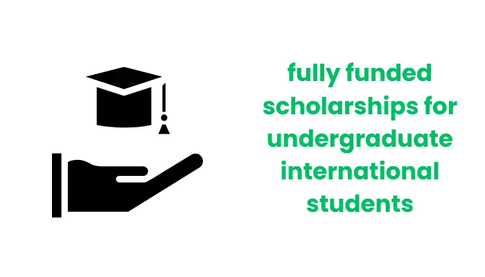 Fully Funded Scholarships for Undergraduate International Students
